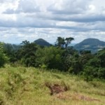 Mariposa