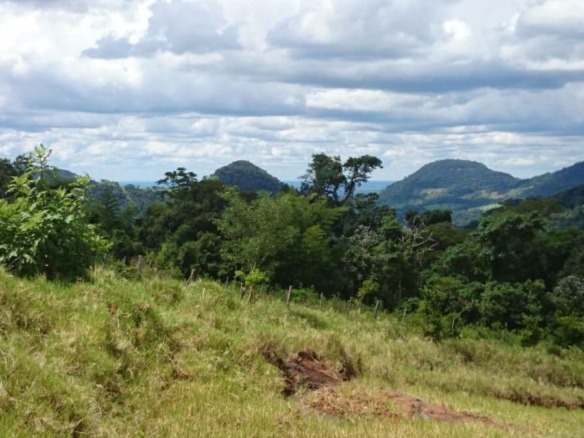 Mariposa