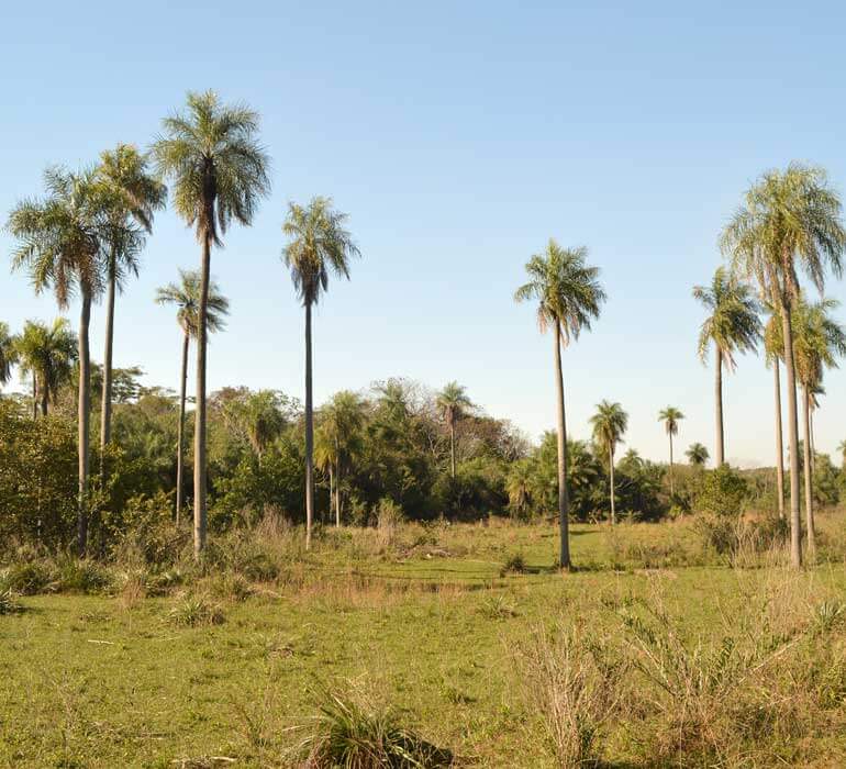Immobilie Kaufen In Atyra, Cordilleras, Paraguay