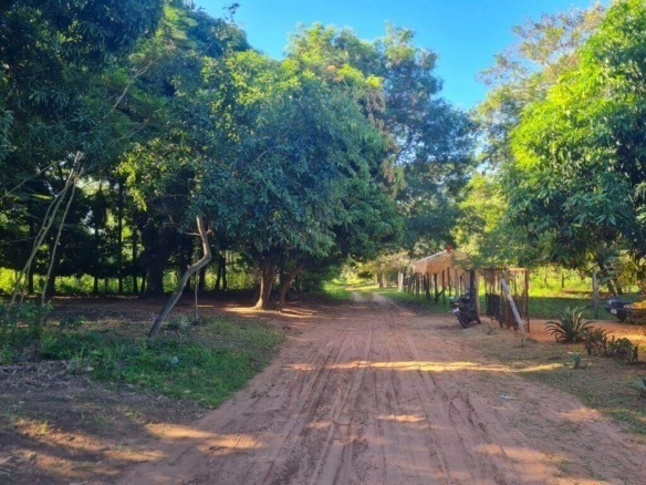 schattiges grundstueck paraguay ypacarai 24 05 4