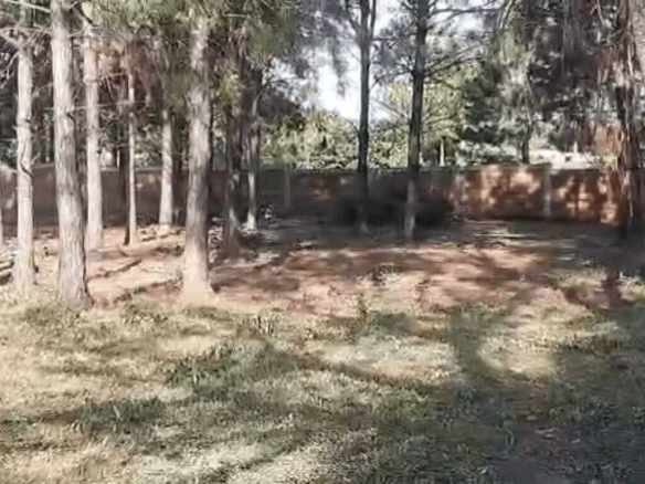 buy plot of land melgarejo independencia deep wells