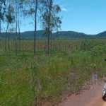 Paraguay Acheter terrain La Colmena (Yvaroty) 4 x 1 ha