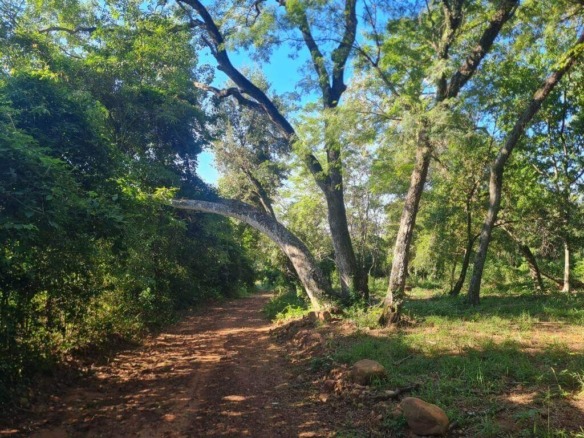 paraguay land for sale ypacarai gp240064
