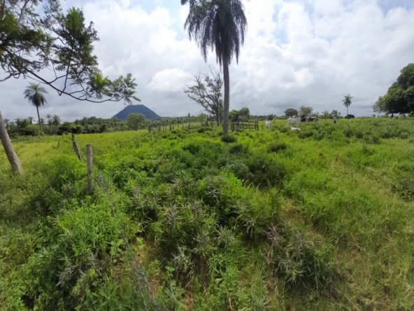 18 hectares of land for sale ybycui paraguay 1