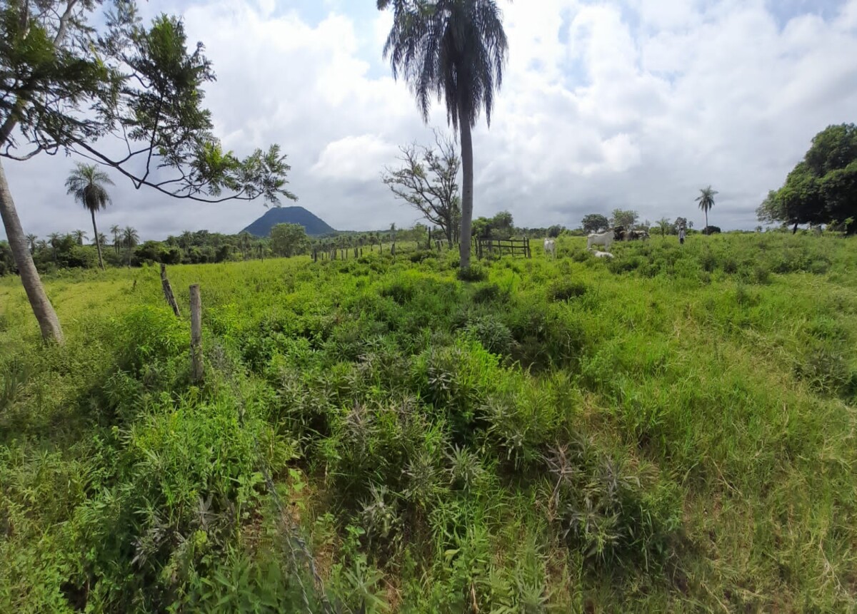 18 hectares of land for sale ybycui paraguay 1