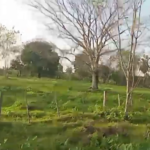20 hektar grundstueck paraguay kaufen mbuyapey