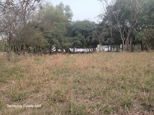 30 hectares of land paraguay buy ybycui paraguayri 3