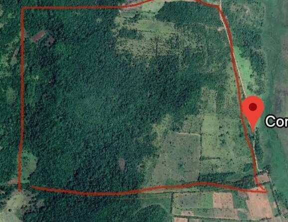 paraguay land for sale salto cristal hectares