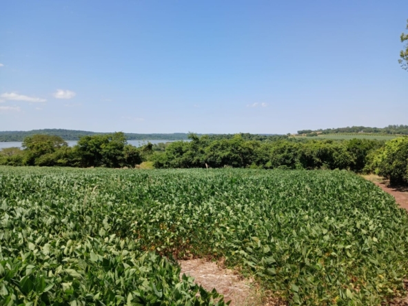 terreno en venta paraguay vista al rio nueva alborada 3hectareas 3