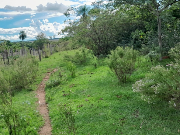 terrain a vendre paraguay guaira 16hectares source gp25006 18