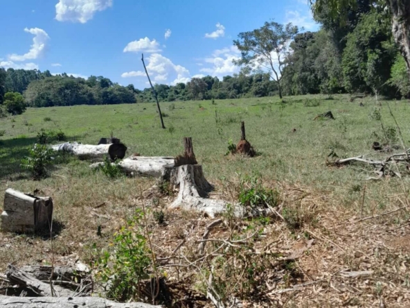 paraguay terreno 7 5 hectareas arroyo rio comprar nueva alborada paraiso 3