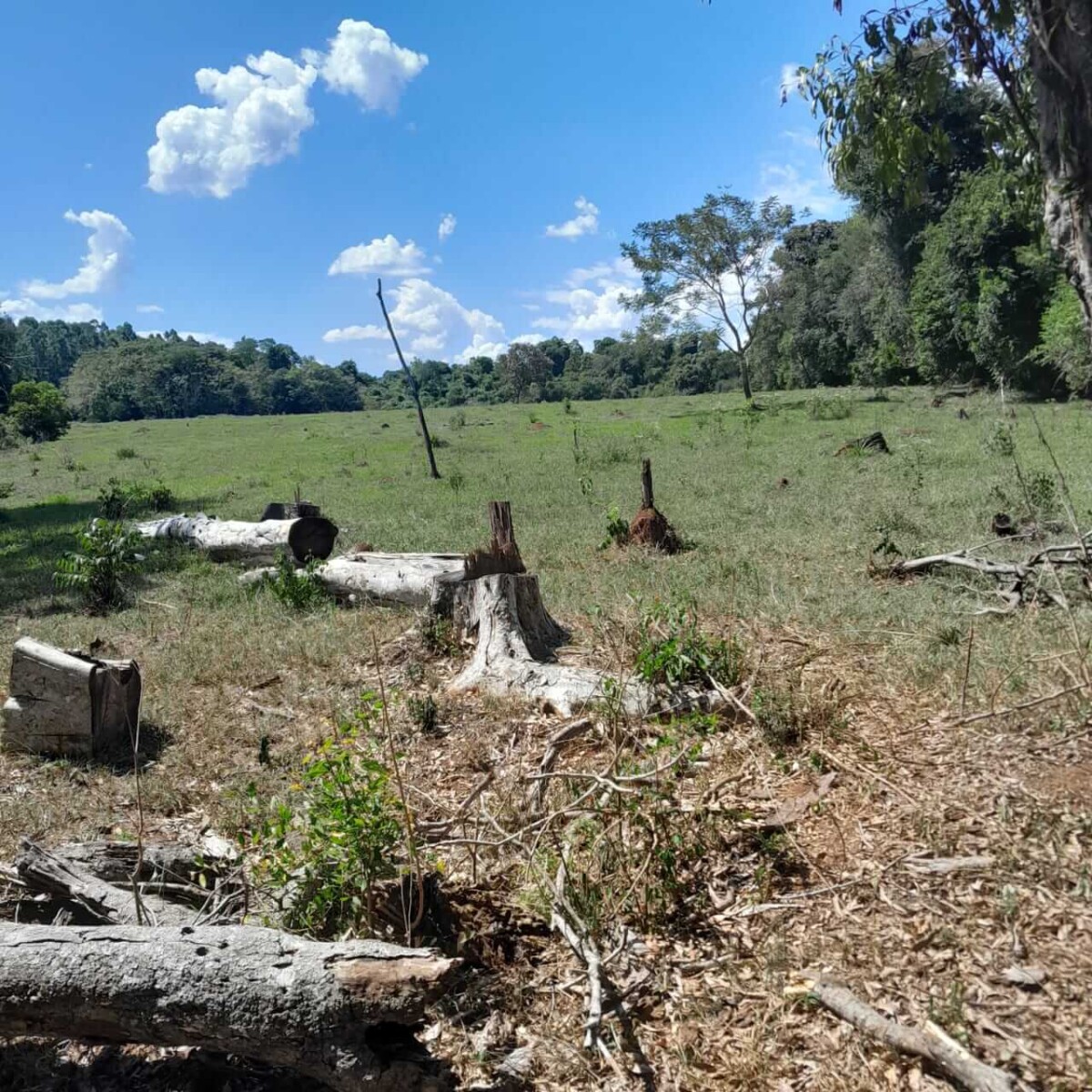 paraguay terreno 7 5 hectareas arroyo rio comprar nueva alborada paraiso 3