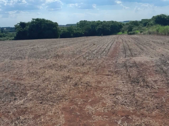 paraguay grundstueck kaufen 7 hektar nueva alborada unweit encarnacion