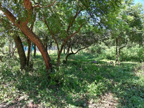 paraguay grundstueck kaufen emboscada lote 7