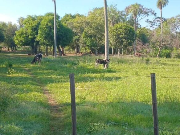 paraguay grundstueck kaufen central itaugua 6000qm 4