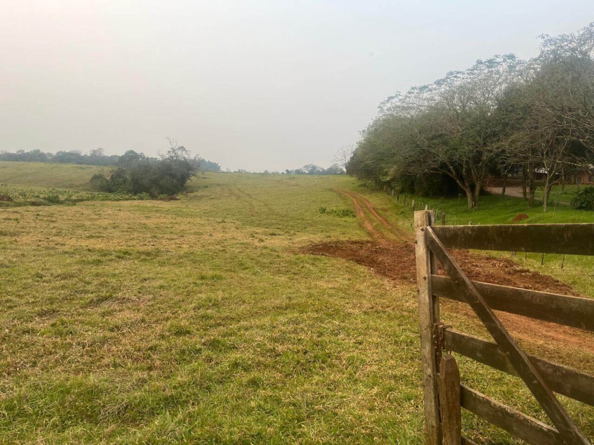 paraguay-grundstueck-kaufen-bella-vista-itapua (10)