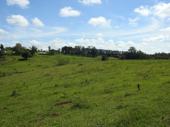 Paradiesisches Grundstück in Paraguay – 11,14 ha in deutscher Kolonie Bella Vista, Itapúa 3 paraguay grundstueck kaufen bella vista itapua 3