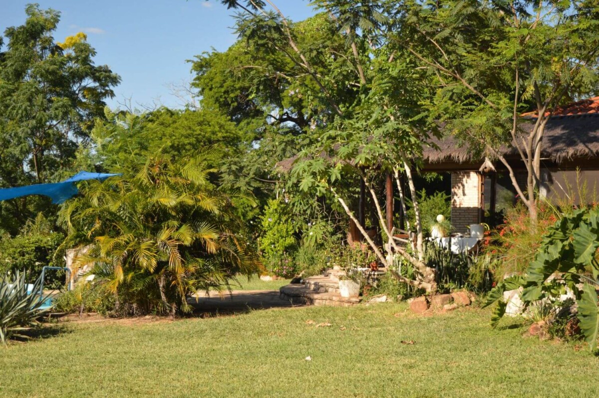 paraguay-grundstueck-kaufen-nueva-colombia (1)