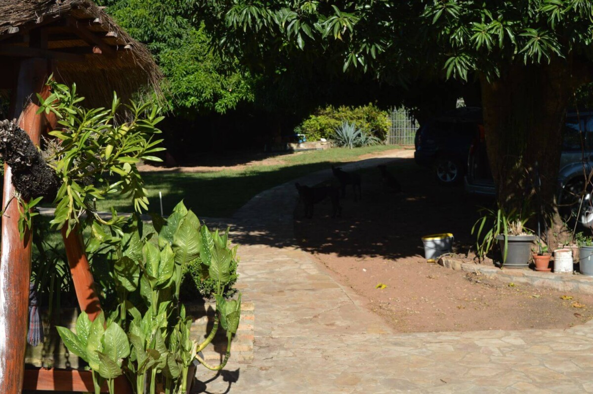 paraguay-grundstueck-kaufen-nueva-colombia (23)