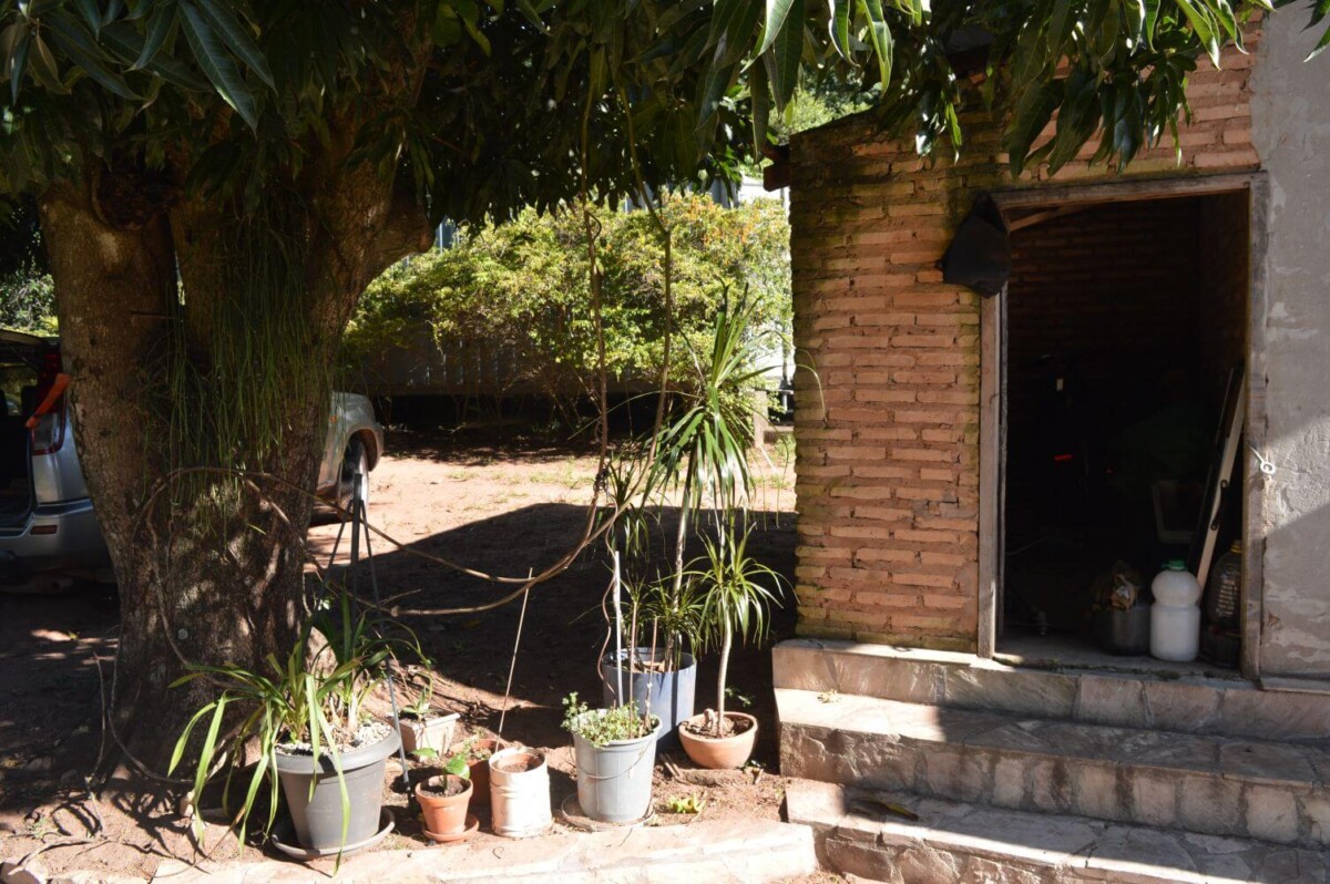 paraguay-grundstueck-kaufen-nueva-colombia (30)