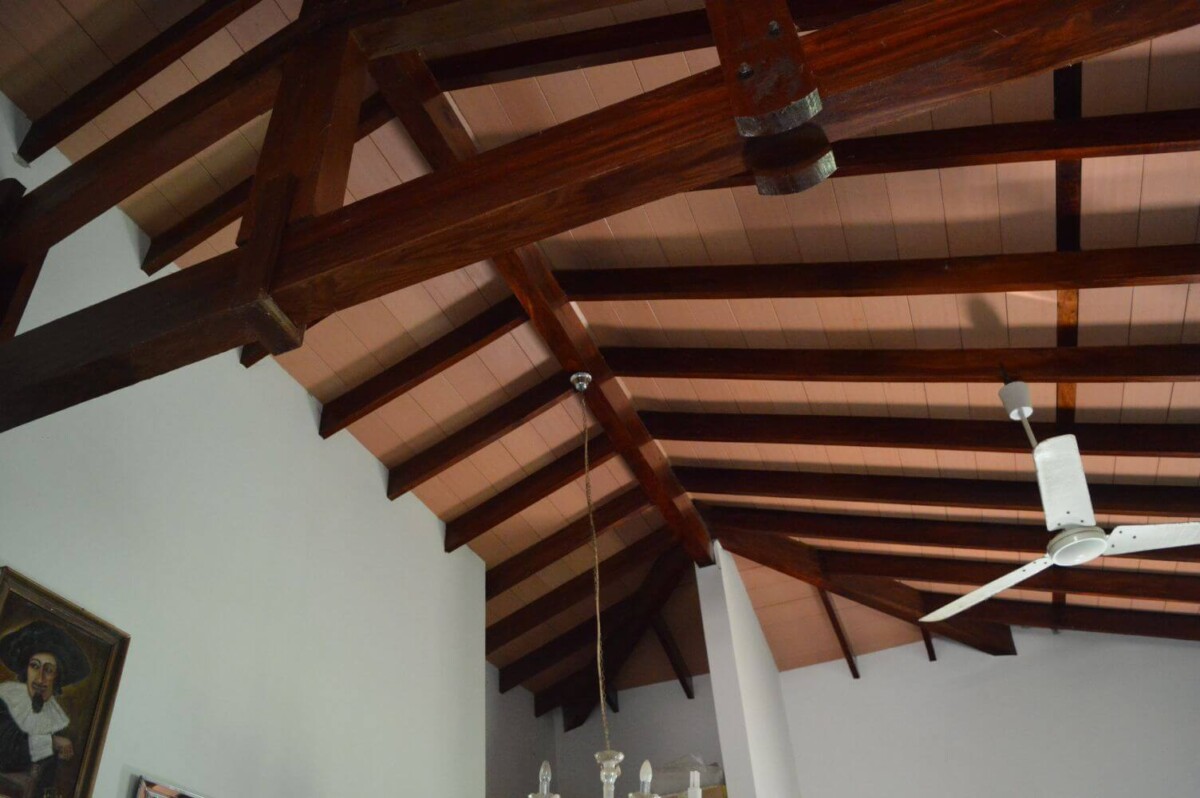 paraguay-grundstueck-kaufen-nueva-colombia (32)