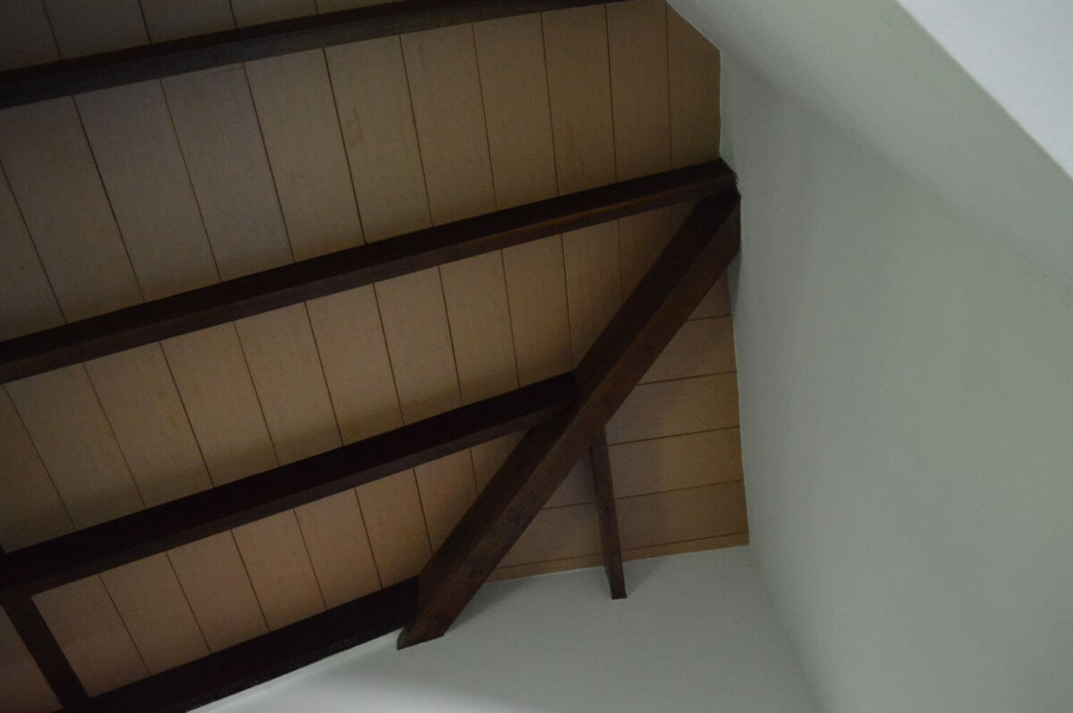 paraguay-grundstueck-kaufen-nueva-colombia (35)