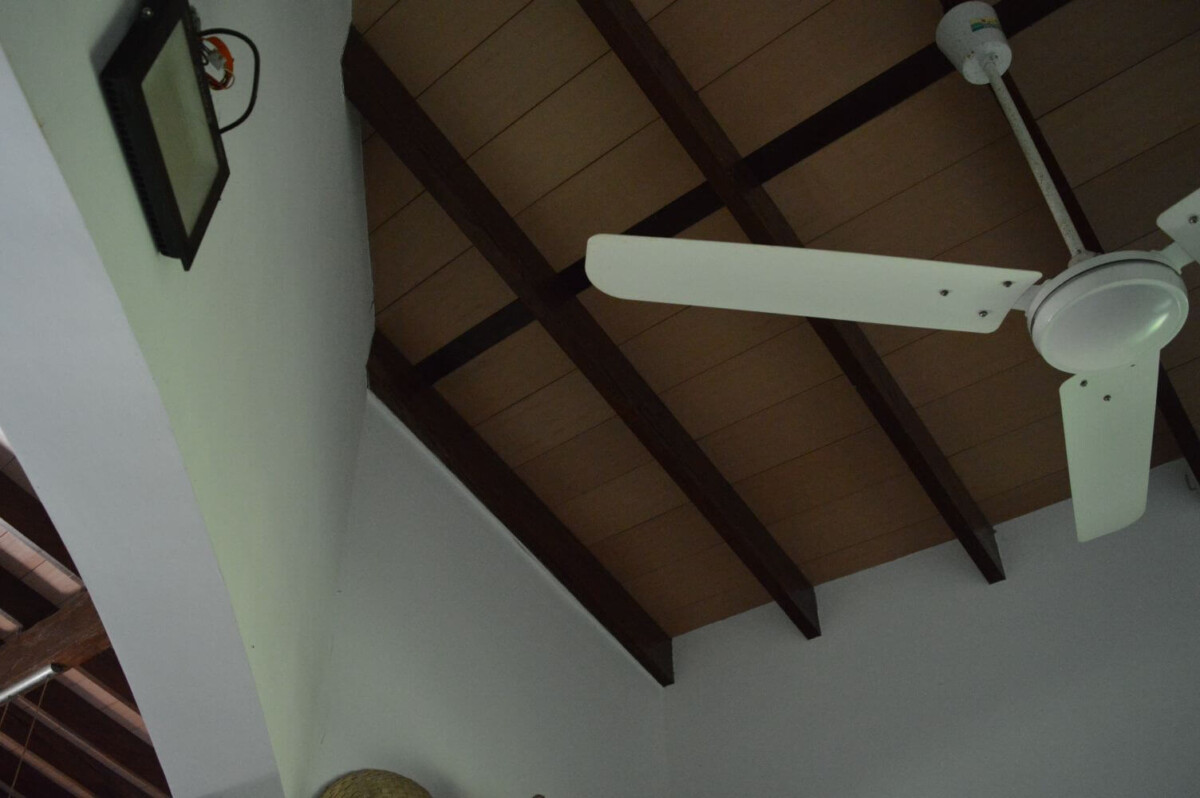 paraguay-grundstueck-kaufen-nueva-colombia (36)