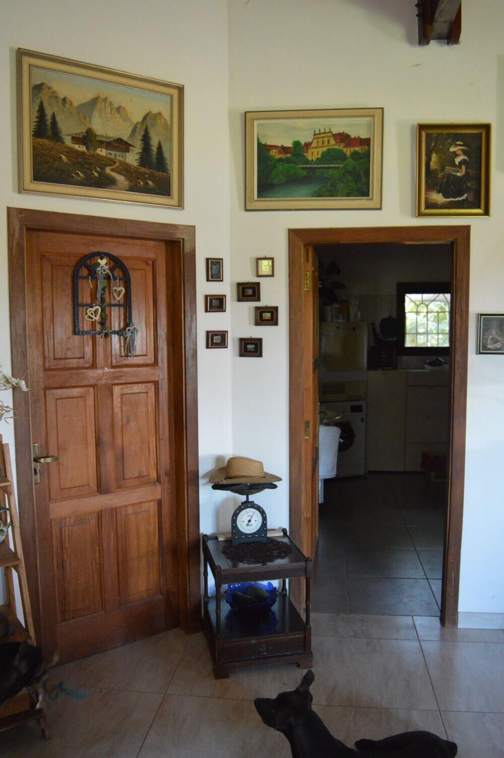 paraguay-grundstueck-kaufen-nueva-colombia (39)