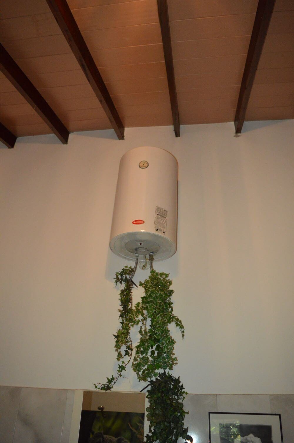 paraguay-grundstueck-kaufen-nueva-colombia (45)