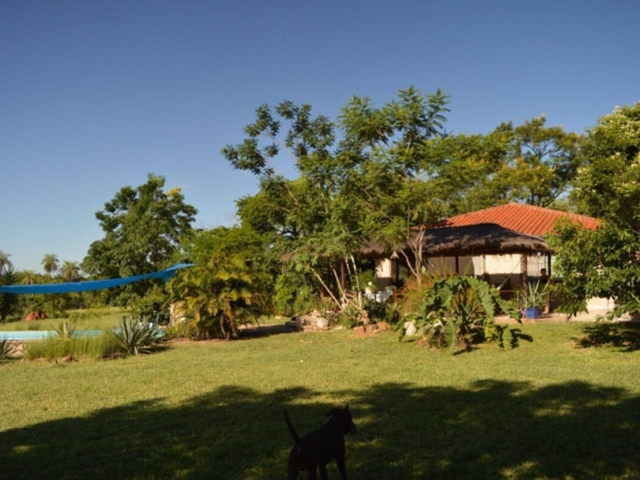 paraguay land for sale nueva colombia 46