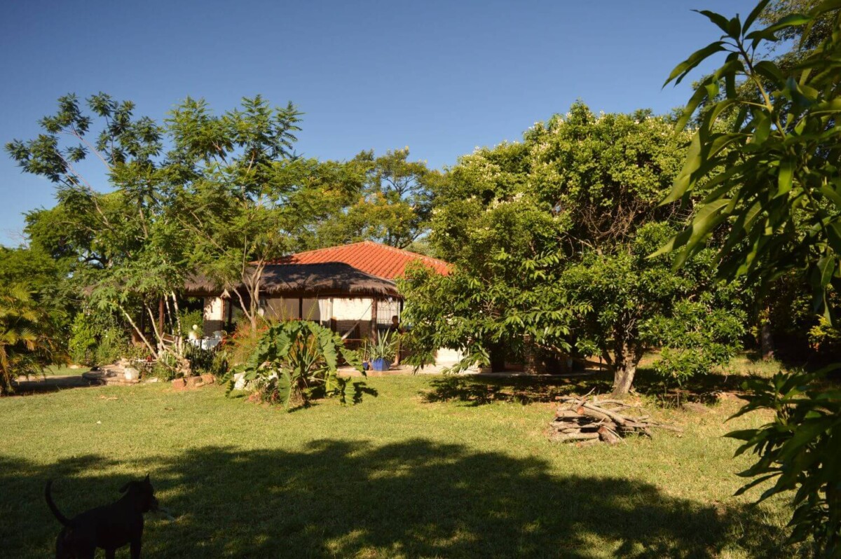 paraguay-grundstueck-kaufen-nueva-colombia (47)