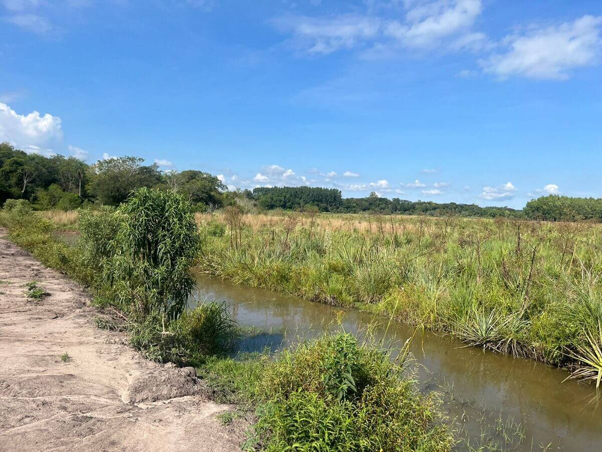54 hektar paraguay grundstueck kaufen la colmena 19