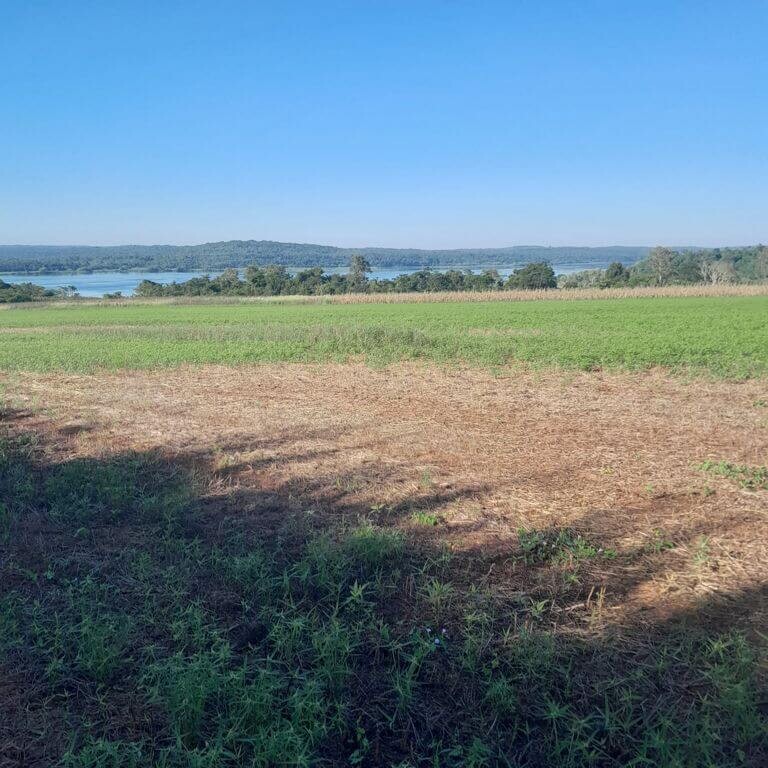 encarnacion land te koop nueva alborada 1 5 hectare paraguay