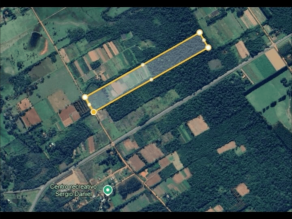 Plantage Teich Wald