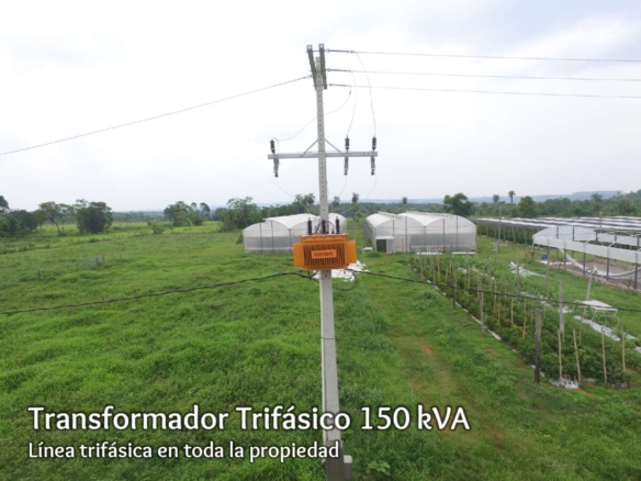 Ein grünes Paradies mit 53 Hektar: Hochmoderne Musterfarm & Tourismus-Idyll in Cordillera