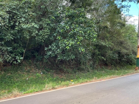 Exklusives Natur-Grundstück in Itauguá / Areguá – 2.9 Hektar, Valle Care (Nähe Ypacaraí-See)