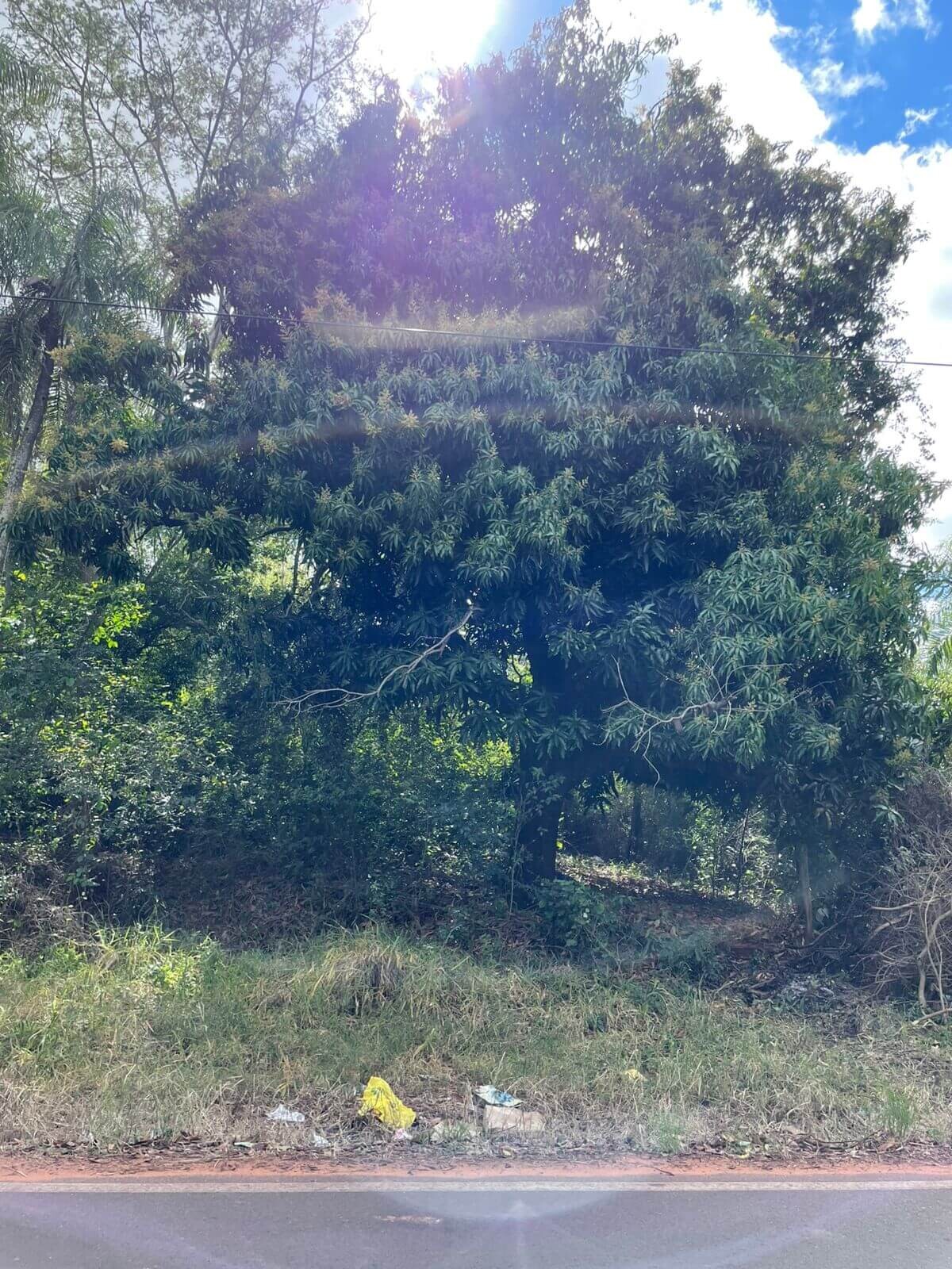 Exklusives Natur-Grundstück in Itauguá / Areguá – 2.9 Hektar, Valle Care (Nähe Ypacaraí-See)