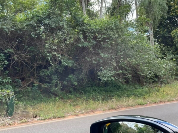 Exklusives Natur-Grundstück in Itauguá / Areguá – 2.9 Hektar, Valle Care (Nähe Ypacaraí-See)