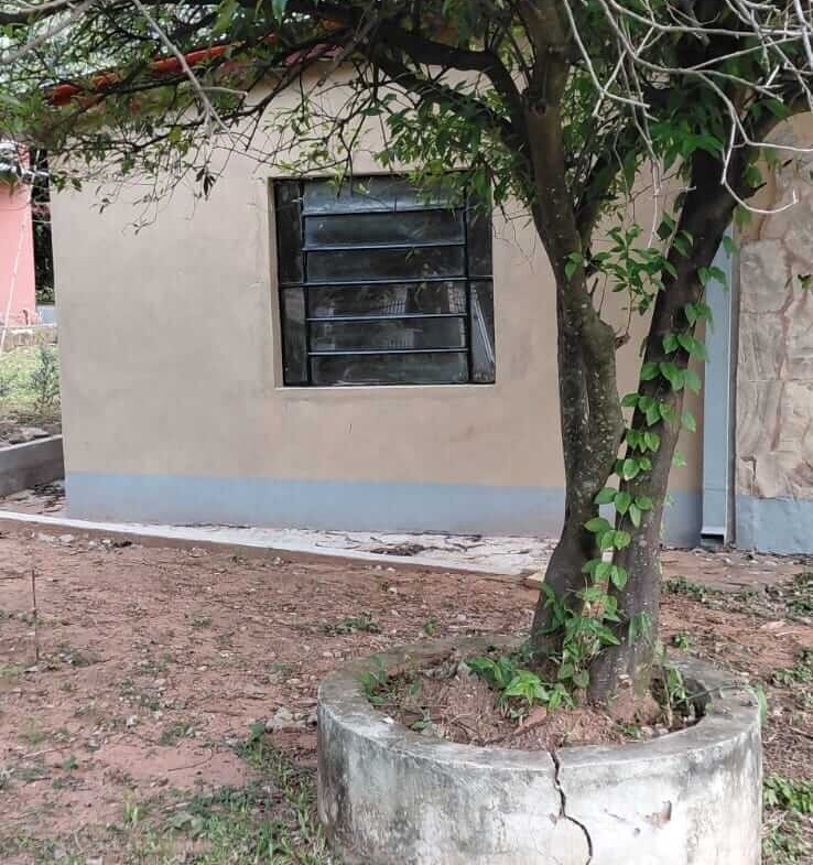 738
