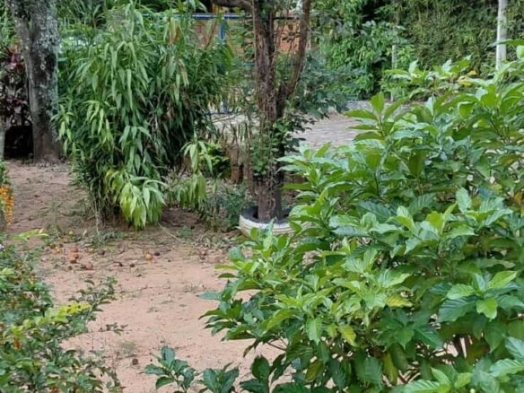 TOP-LAGE in Altos, Paraguay: Großes Grundstück (2.500 m²) mit 2 Häusern zu verkaufen – Perfekt für Auswanderer oder Gewerbe!