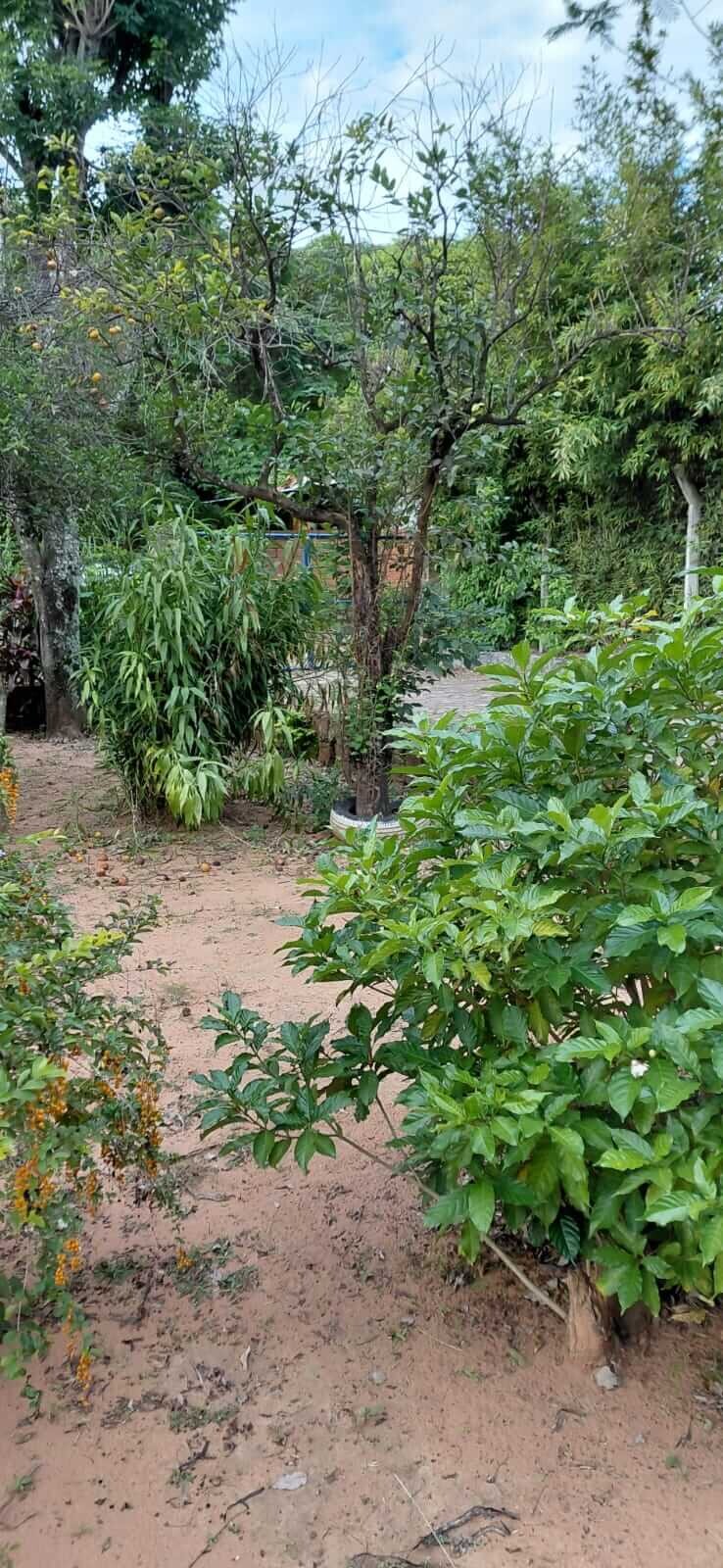 TOP-LAGE in Altos, Paraguay: Großes Grundstück (2.500 m²) mit 2 Häusern zu verkaufen – Perfekt für Auswanderer oder Gewerbe!