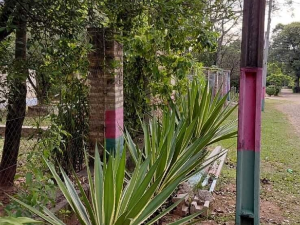 TOP-LAGE in Altos, Paraguay: Großes Grundstück (2.500 m²) mit 2 Häusern zu verkaufen – Perfekt für Auswanderer oder Gewerbe!