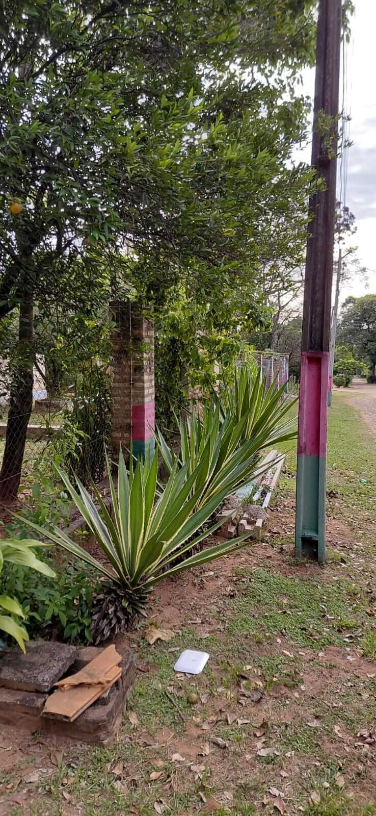 TOP-LAGE in Altos, Paraguay: Großes Grundstück (2.500 m²) mit 2 Häusern zu verkaufen – Perfekt für Auswanderer oder Gewerbe!