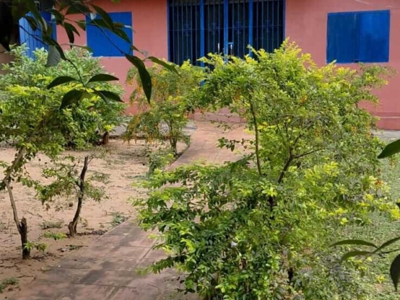TOP-LAGE in Altos, Paraguay: Großes Grundstück (2.500 m²) mit 2 Häusern zu verkaufen – Perfekt für Auswanderer oder Gewerbe!