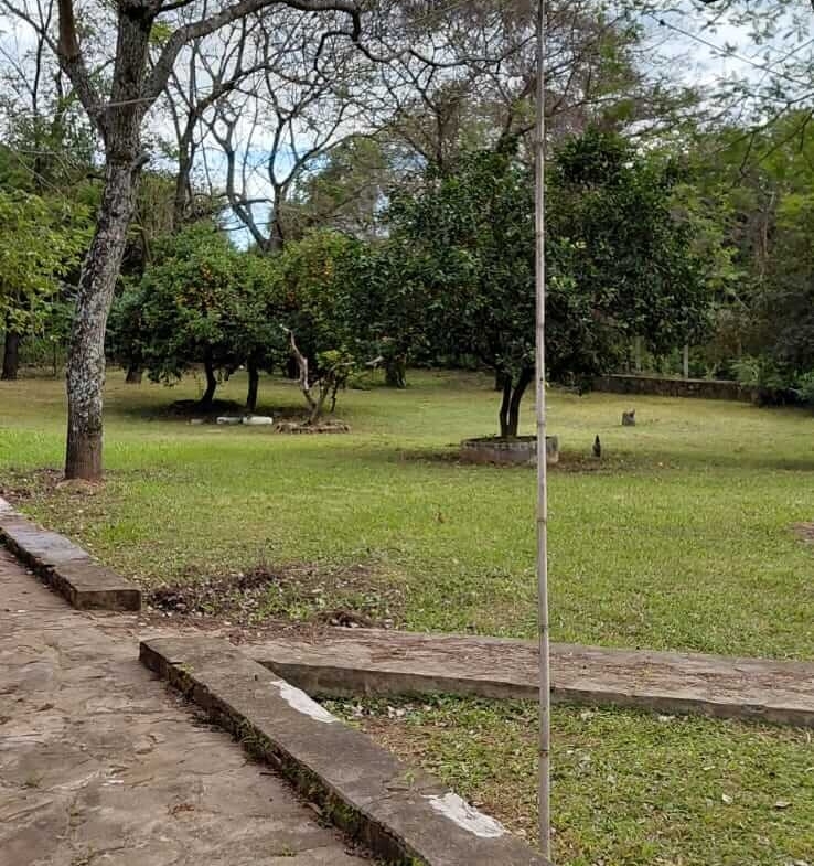 738