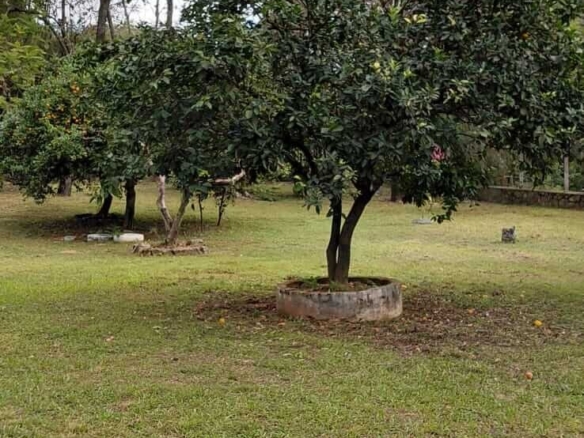 TOP-LAGE in Altos, Paraguay: Großes Grundstück (2.500 m²) mit 2 Häusern zu verkaufen – Perfekt für Auswanderer oder Gewerbe!