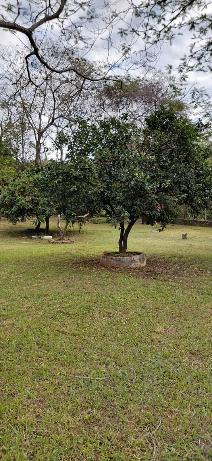 TOP-LAGE in Altos, Paraguay: Großes Grundstück (2.500 m²) mit 2 Häusern zu verkaufen – Perfekt für Auswanderer oder Gewerbe!
