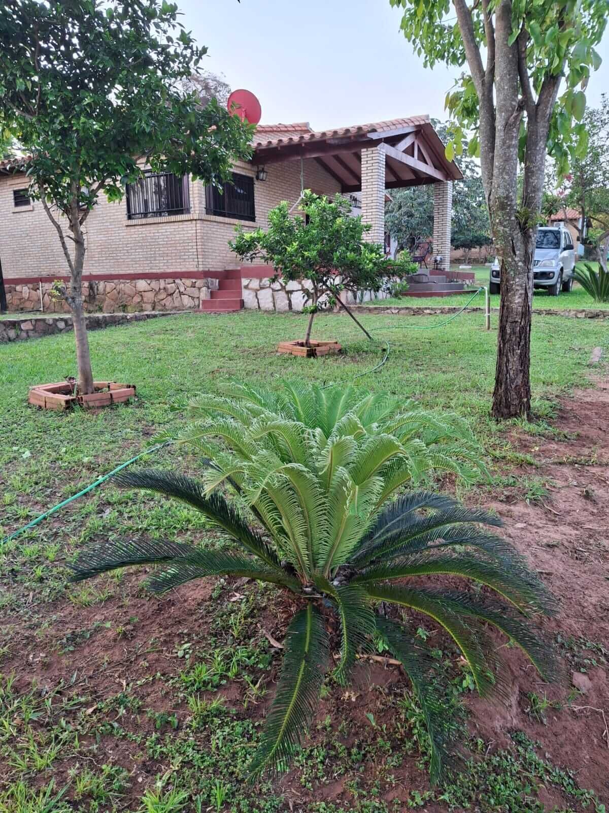 cordillera-haus-kaufen-altos-guenstig-garten IDYLLISCHES LANDHAUS IN BESTLAGE VON ALTOS – NATURNAHES WOHNEN MIT WEITBLICK