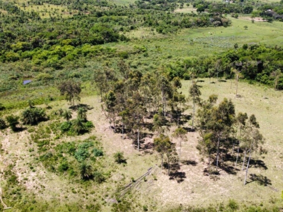 NATURPARADIES MIT 12,9 HEKTAR, HAUS UND EIGENEN QUELLEN – LA COLMENA / ACAHAY