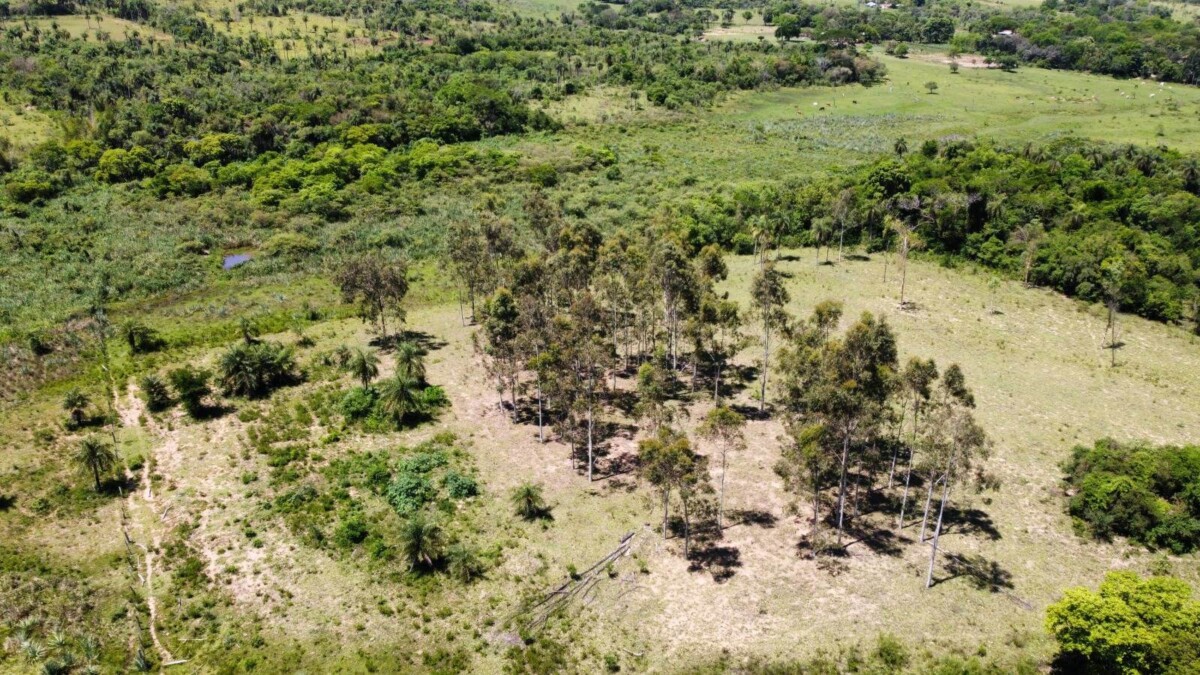 grundstueck-kaufen-la-colmena-paraguari-12hektar-haus (1) NATURPARADIES MIT 12,9 HEKTAR, HAUS UND EIGENEN QUELLEN – LA COLMENA / ACAHAY